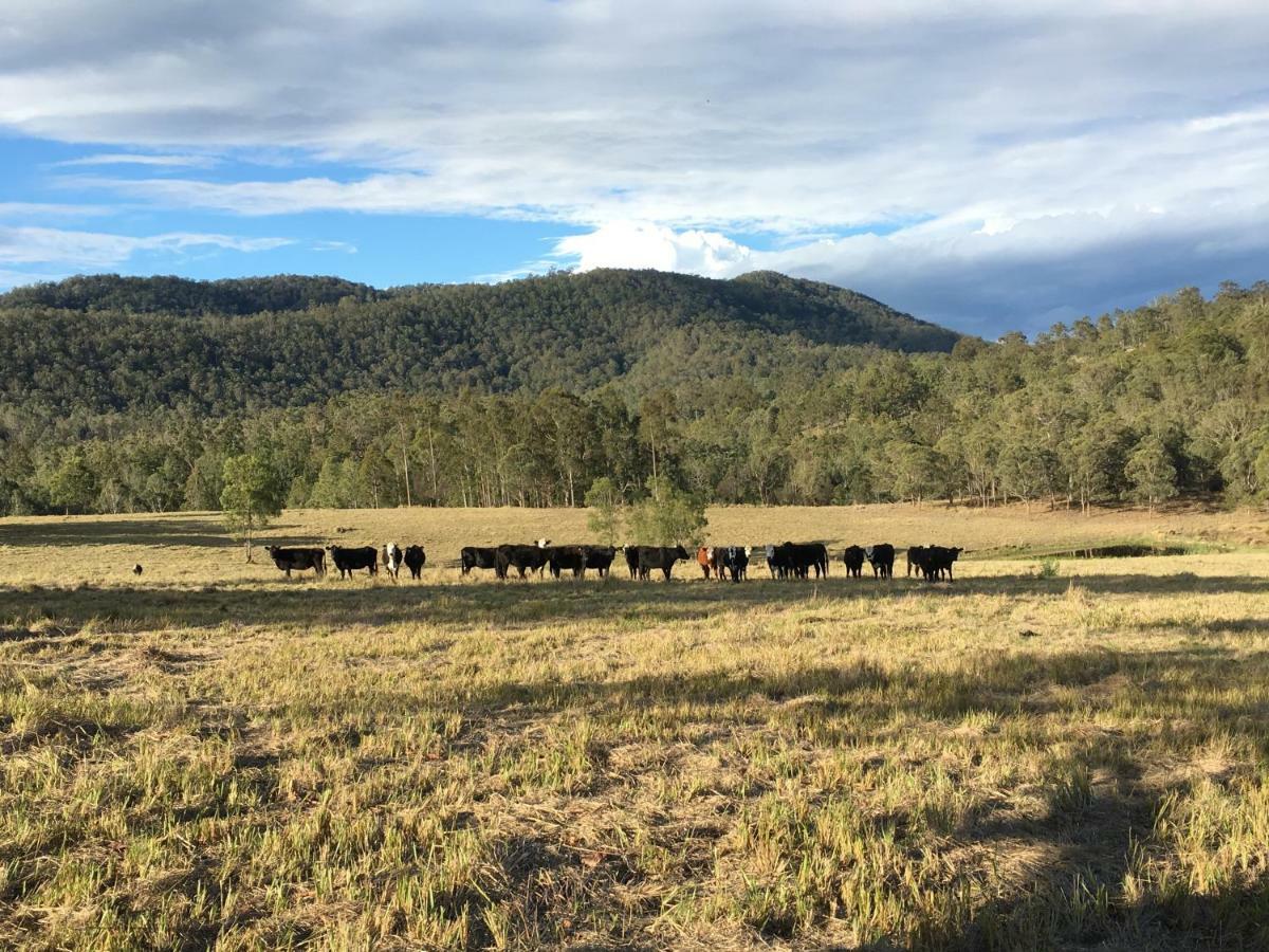 Apartamento Rural Ambience With Netflix Mount George Exterior foto